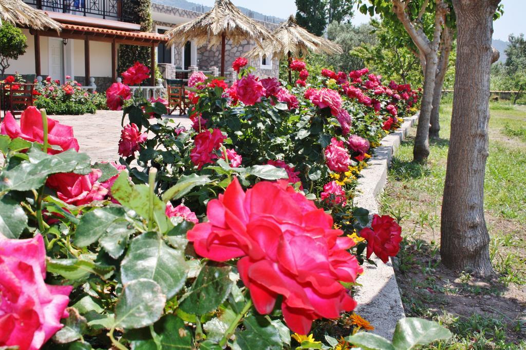 Villa Vicky ペトラ エクステリア 写真